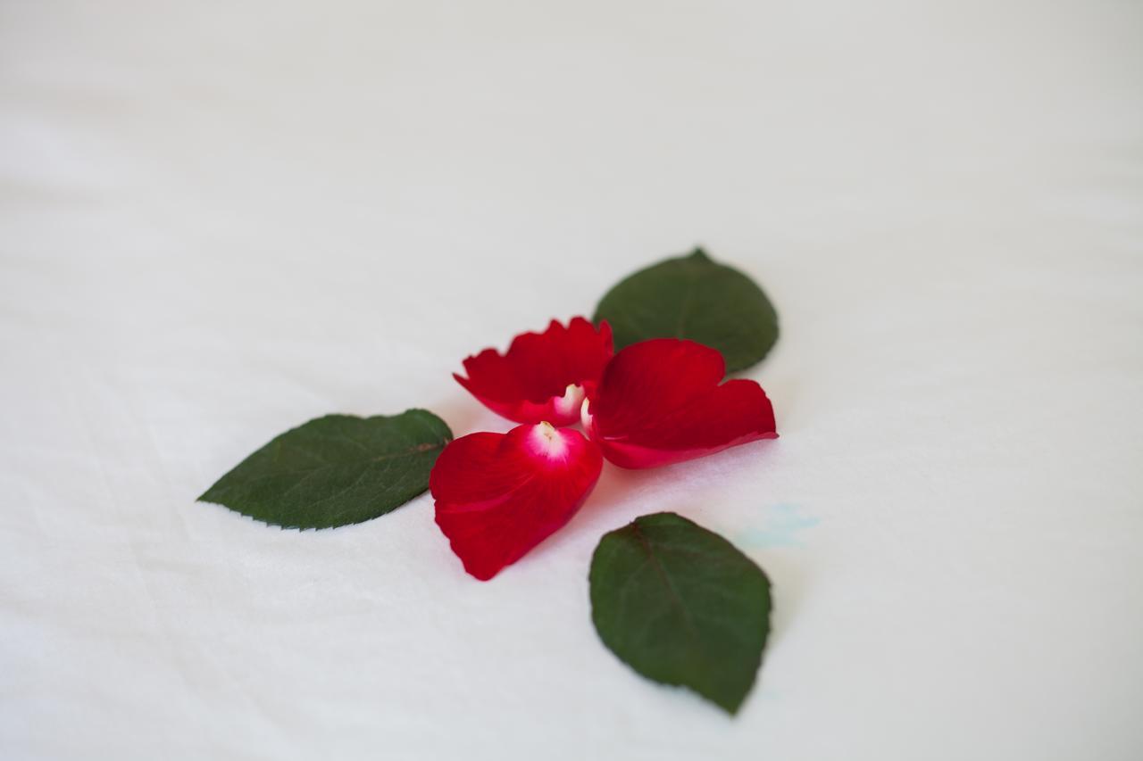 Sapa Tulip Hotel Bagian luar foto